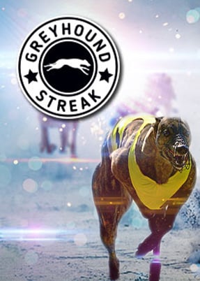 Greyhound Streak