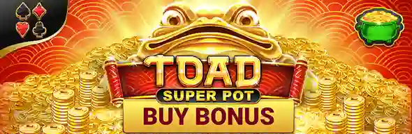 Toad Super Pot